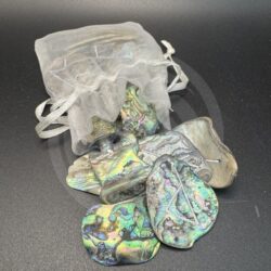 Abalone Norse Runes Set
